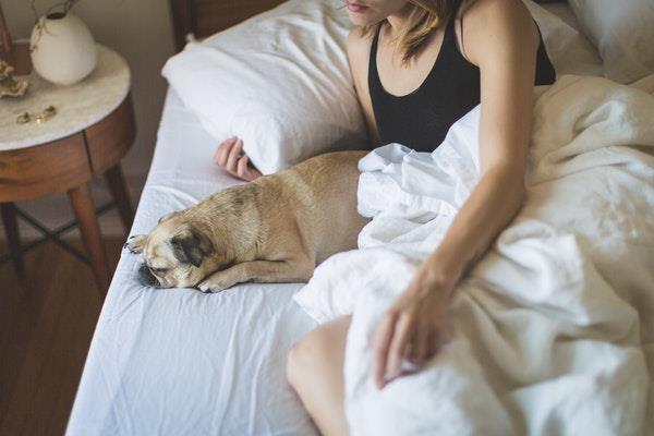 女生说不想起床怎么回复？教你如何哄她开心