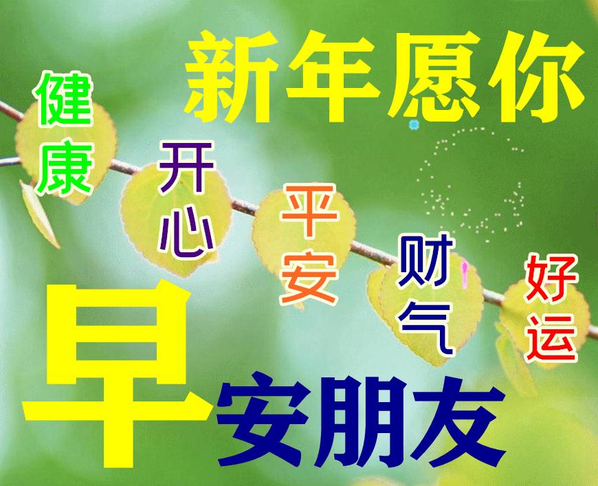 不用打字就可以聊天早上好表情图片 创意好看的早安问候动画表情包